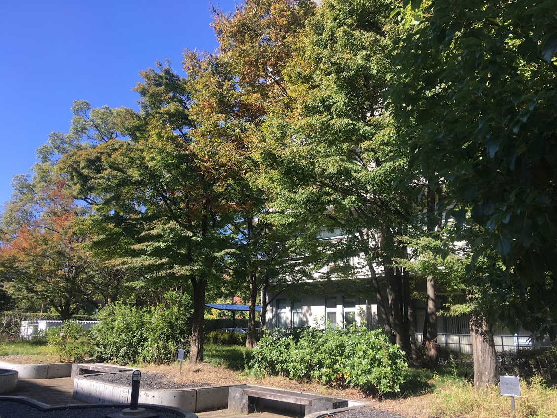 エクセル/Excelの割り算で小数点を四捨五入し整数のみにするには？関数で除算も Curlpingの学びblog