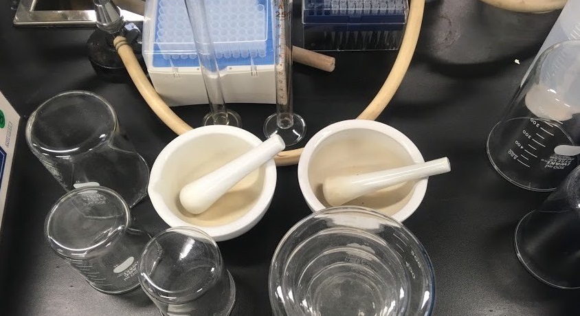 京都大学農学部食品生物科学科の裏話 京大農学部生の声を基に魅力と知っておきたい注意点をご紹介 Curlpingの幸せblog