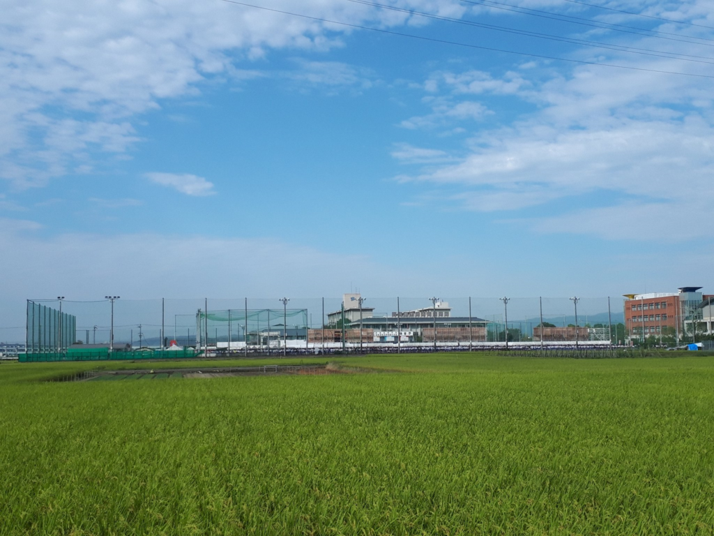 洛南高等学校附属中学校 洛南高校体育祭 応援合戦 部活紹介などの見どころと開催場所 向島グラウンド をご紹介 21の情報も Curlpingの幸せblog