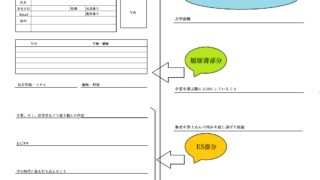 就職活動 Curlpingの幸せblog