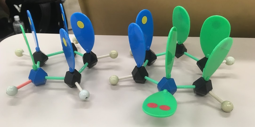 京都大学農学部食品生物科学科の裏話 京大農学部生の声を基に魅力と知っておきたい注意点をご紹介 Curlpingの幸せblog